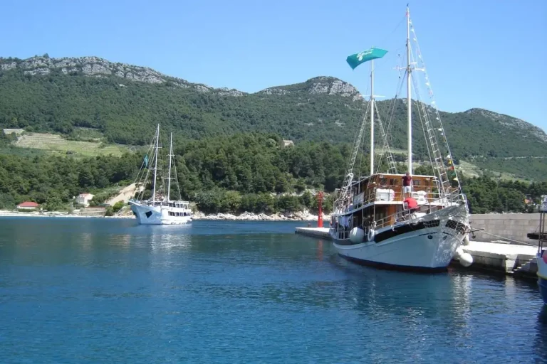 trstenik-5