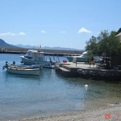 trstenik-6