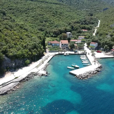 velika_prapratna-1-1